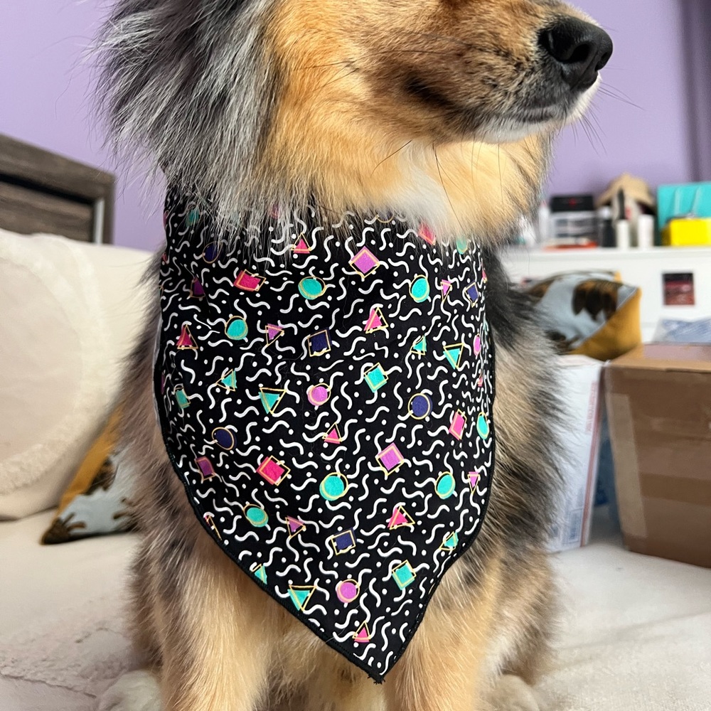 Set of 2 dog’s bandana